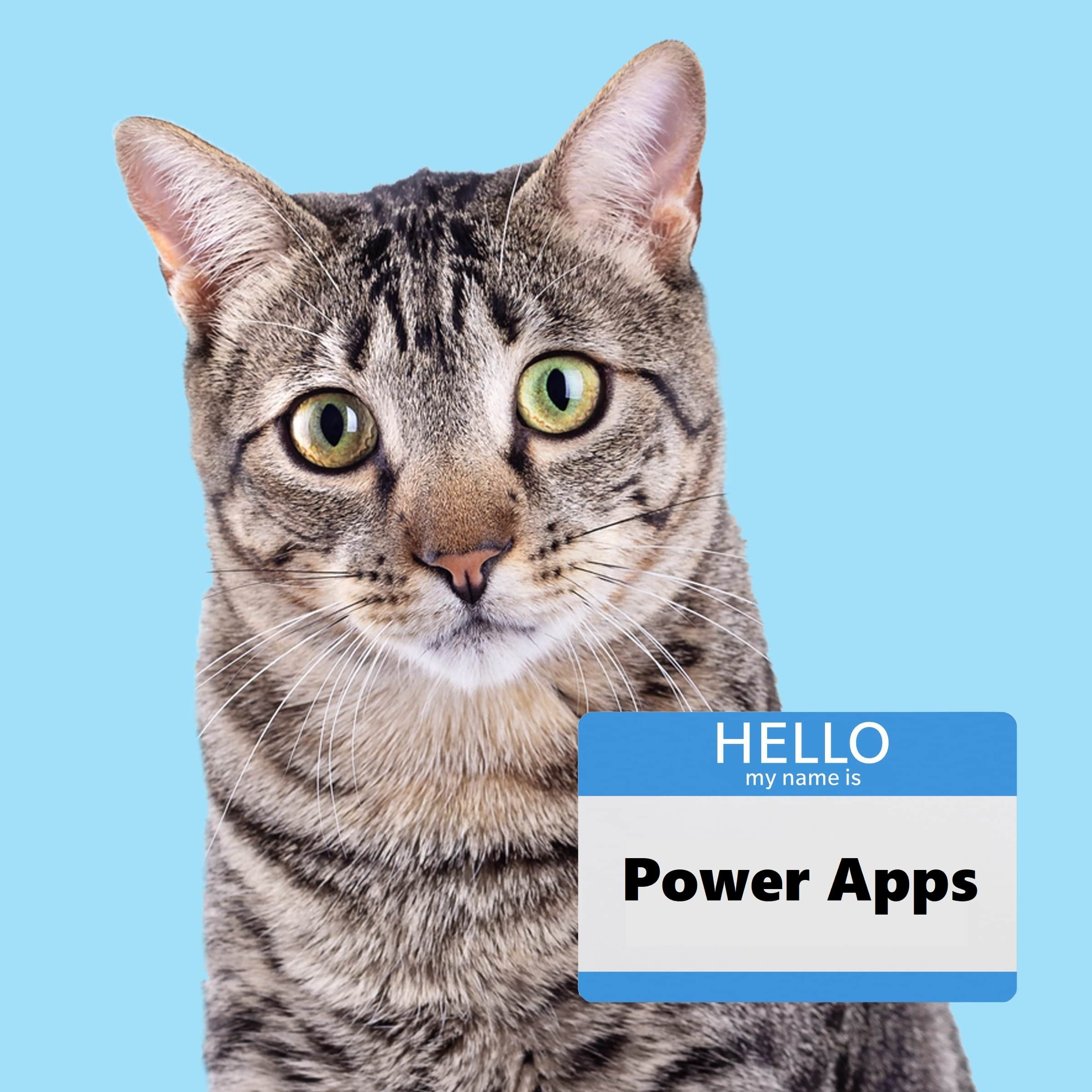 Power Apps Standards: Naming Conventions