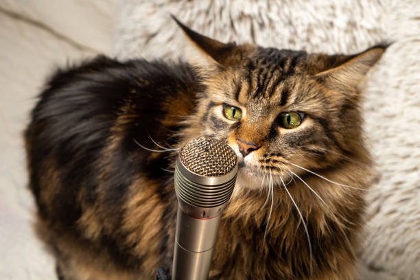 How To Build A Copilot Studio Agent With Generative Orchestration