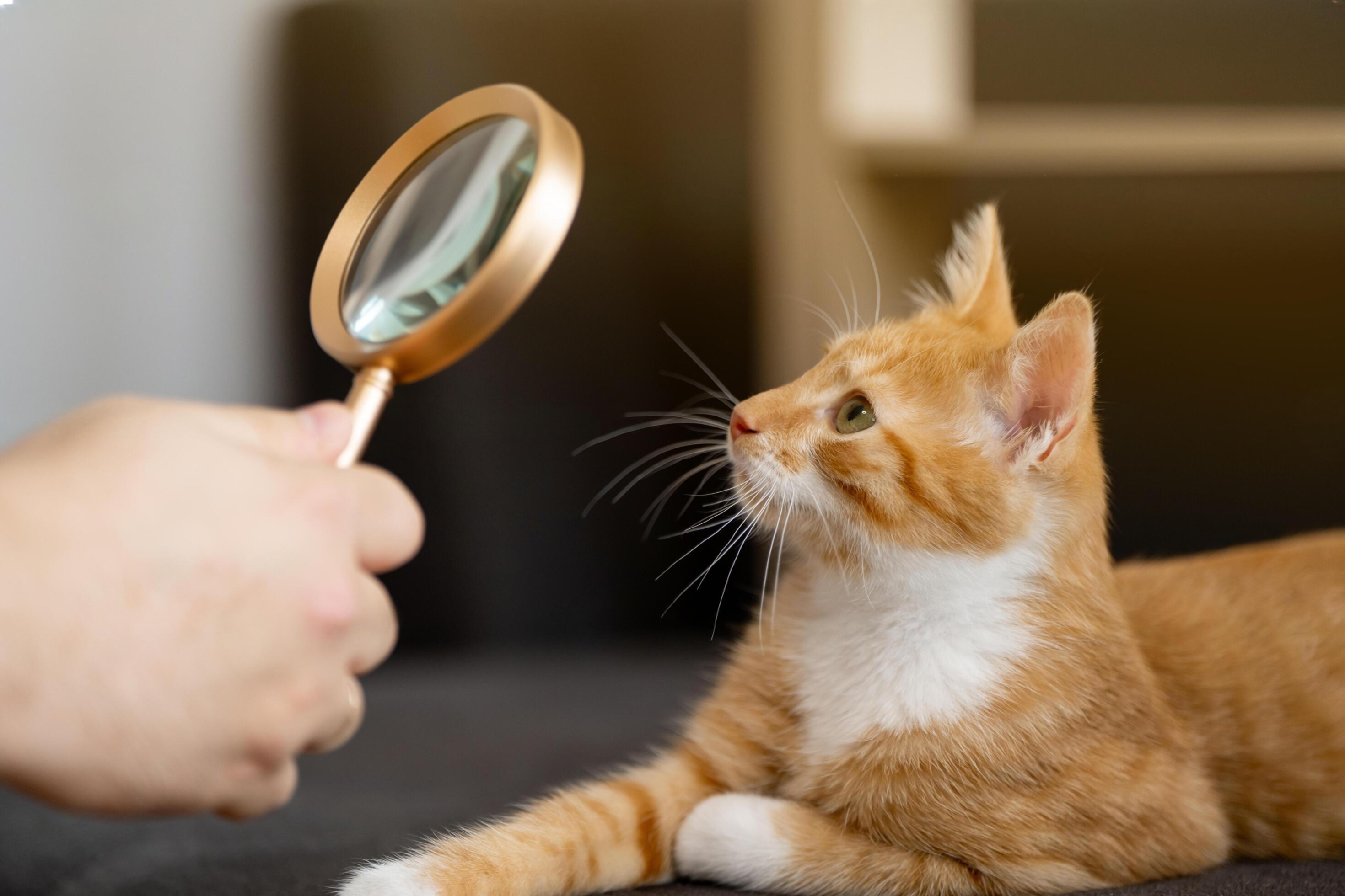 Copilot Studio: Azure AI Search Complete Setup Guide