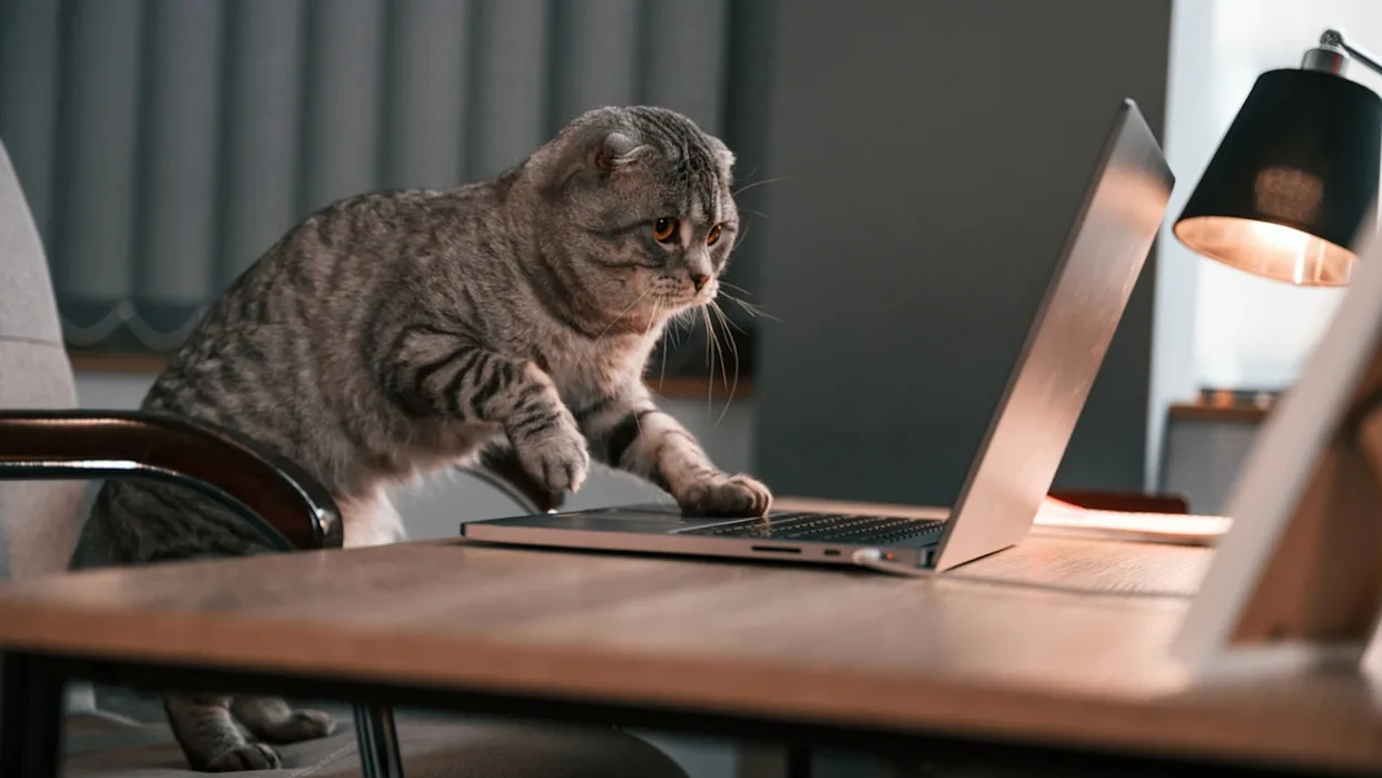 Copilot Studio Autonomous Agent To Read & Write Excel Files