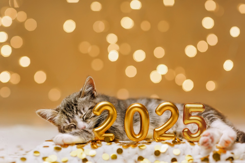 Top 10 Copilot Studio Articles Of 2025