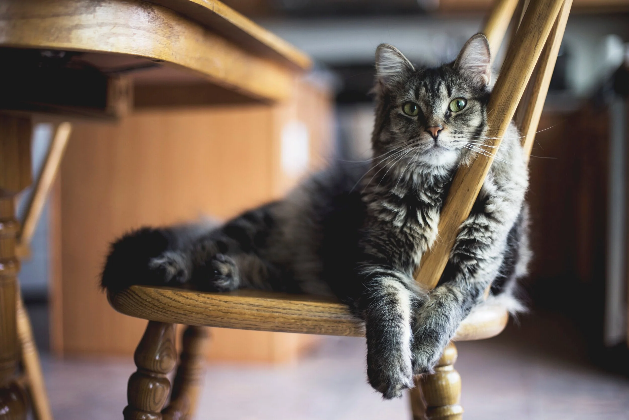 Copilot Studio: Generate PowerPoint File From A Template