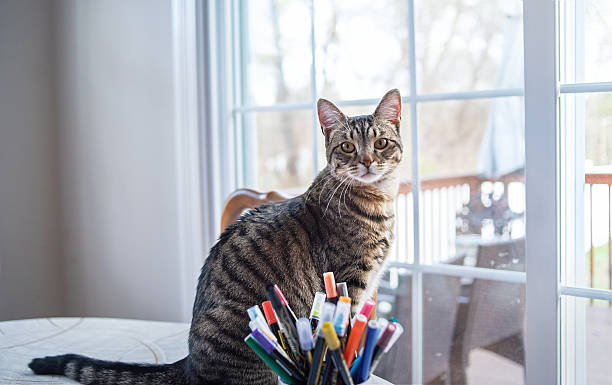 Copilot Studio Generate A Word Document